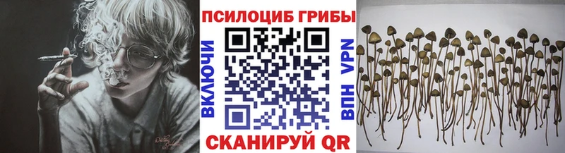 Псилоцибиновые грибы прущие грибы  Мончегорск 